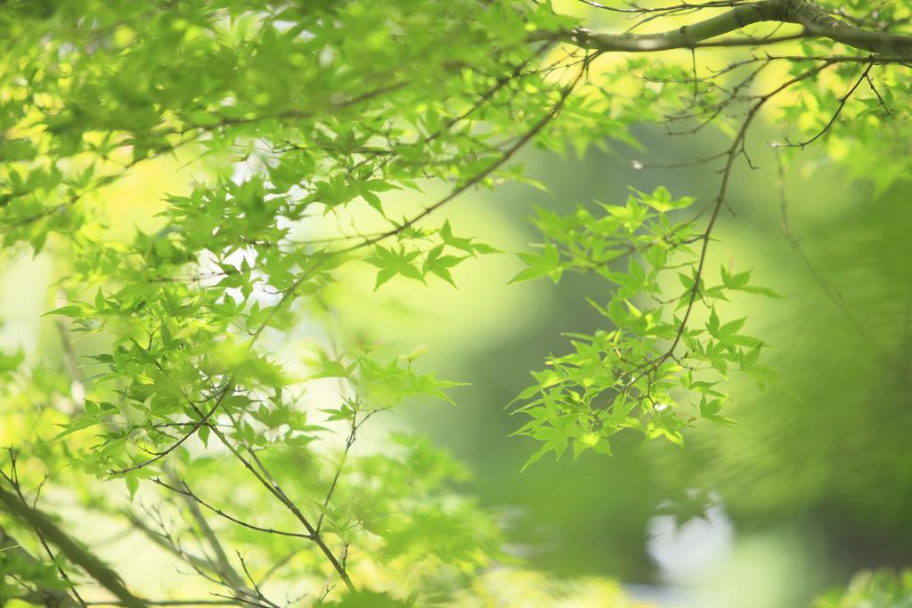 Oushuku Onsen Choeikan Shizukuishi Екстер'єр фото